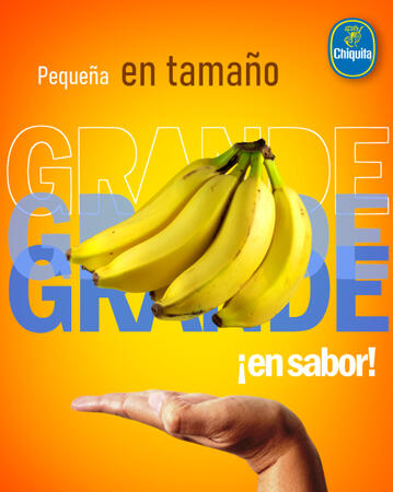 Small On Size, Big On Flavor!